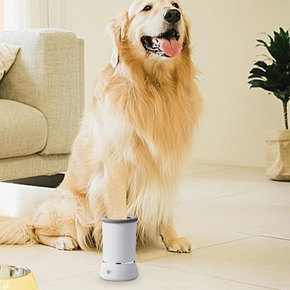 nettoyeur de pattes pour chien